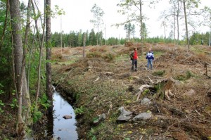 Södras entreprenör har inte lämnat någon skyddszon mot bäcken! Detta strider mot FSC:s regler.