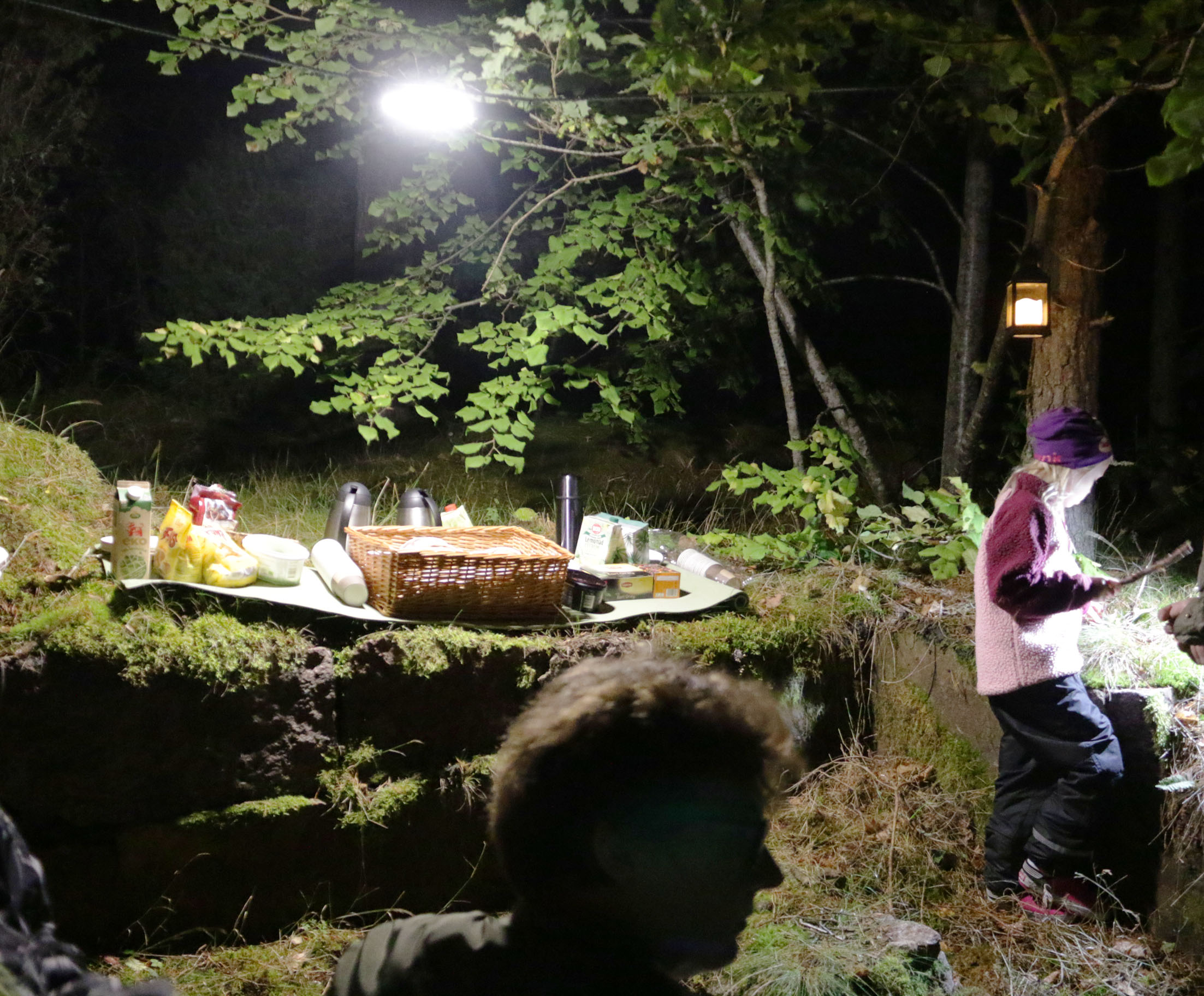 Fladdermuskvällens höjdpunkt och något att minnas kom när en härlig fika serverades vid stenbrottet Brödlösa som dessutom vackert tänts upp i i höstnatten. Allt detta var möjligt tack vare en fantastiskt insats från personerna bakom Rädda Våneviks gammelskog!